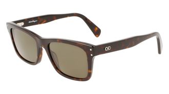 Ferragamo Brown Rectangular Mens Sunglasses SF1039S 240 54