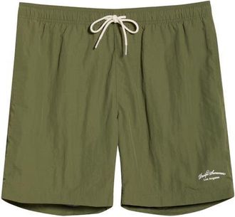 PacSun Collegiate Swim Trunks in Green at Nordstrom, Size X-Large