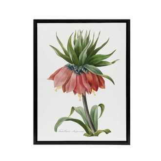 Artery8 Crown Imperial Flower Redoute Vintage Black Framed Canvas Wall Art in White | Size: W24 x H32