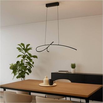 Loops Stylish Black LED Pendant Light - Perfect Indoor Ceiling Fixture