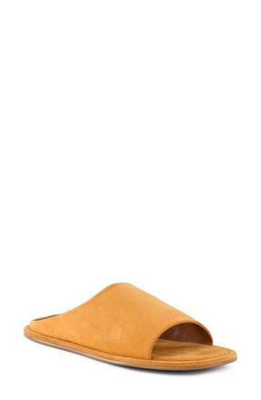 Seychelles Its A Yes Slide Sandal in Yellow at Nordstrom, Size 6.5