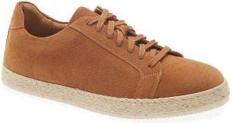 Bruno Magli Amalfi Lace-Up Sneaker in Cognac Suede at Nordstrom Rack, Size 11.5