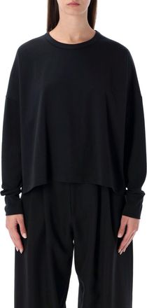 STUDIO NICHOLSON Black Round Neck Cotton T-Shirt