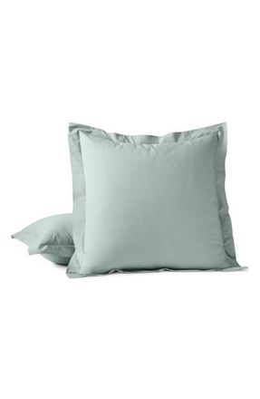 Coyuchi Refined Organic Cotton Percale Sham in Dew at Nordstrom, Size Standard
