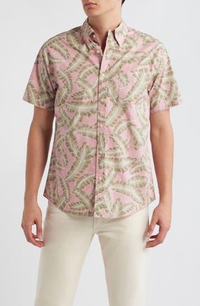 Brooks Brothers Palm Leaf Print Short Sleeve Cotton Button-Down Shirt at Nordstrom, Size Xx-Large