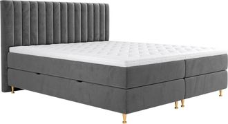 Mirjan24 Cama Continental Comfidream Fjorina, Fresh 32, Doble, Continental, 180x200, Tapiz, Somieres, 188x210x118cm