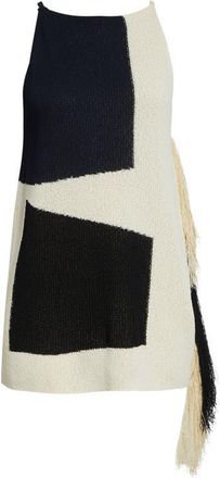 Proenza Schouler Saskia Colorblock Intarsia Textured Fringe Midi Sweater in Sand Multi at Nordstrom, Size Medium