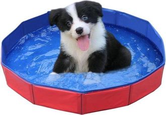 No Brand Piscina Para Perros - Piscina Espec&iacute;fica Para Perros - Plegable - Para Refrescar A Tu Mascota - Diversi&oacute;n De Verano