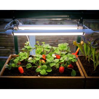 Palram Palram-canopia - Canopia - Luz Para Cultivo Led