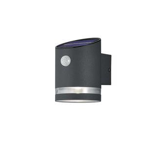 Reality Salta Led Ip44 L&aacute;mpara Exterior Antracita Con Trio Lighting Sensor De Movimiento