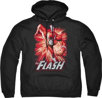 Gildan Justice League of America Flash Red & Gray Adult Pull Over Hoodie / Hooded Sweatshirt
