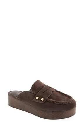 Splendid Quintana Platform Clog in Spice at Nordstrom, Size 11