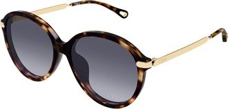 Chlo&eacute; CH0358SK Asian Fit 002 Womens Sunglasses Tortoiseshell Size 59