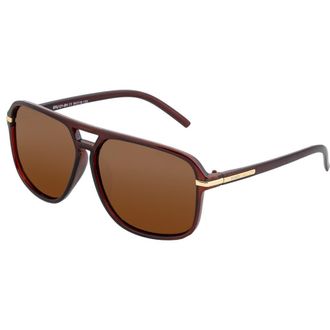 Simplify Reed Polarized Sunglasses in Brown/brown at Nordstrom