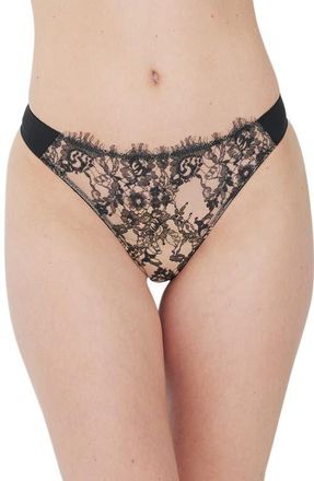 Skarlett Blue Entice Lace Front Thong in Black/nylon at Nordstrom, Size X-Large