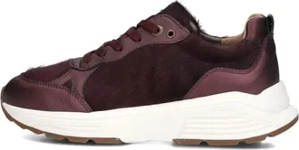 Xsensible Schoenen, Dames, Rood, 42 EU, Chain