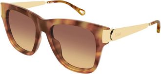 Chlo&eacute; Cat Eye Zonnebril - Dames - Zonnebrillen - Bruin - 54 MM - Accessoires