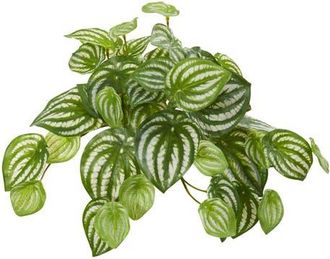 Nearly Natural 11-in Watermelon Peperomia Hanging Artificial Bush Plant in Green at Nordstrom