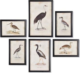 Napa Home & Garden Waterfowl Gallery, Set Of 6 in Black at Nordstrom, Size Medium