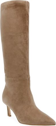 Steve Madden Lavan Pointed Toe Knee High Boot in Oatmeal Suede at Nordstrom Rack, Size 6.5