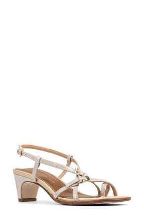 Donald J Pliner Daffney Strappy Sandal in Platino at Nordstrom, Size 5.5