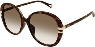 Chloé CH0207SK Asian Fit 002 Womens Sunglasses Tortoiseshell Size 58