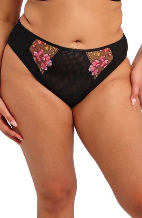 Elomi Teagan High Leg Briefs in Black/Rainbow at Nordstrom, Size 3X-Large