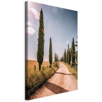 OEM Pintura - Chipre Italiano (1 Parte) Vertical