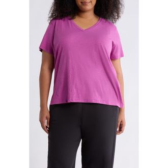 Eileen Fisher Easy Organic Cotton V-Neck T-Shirt in Grape at Nordstrom, Size 2 X