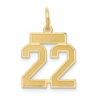 Diamond2Deal 14k Yellow Gold Small Satin Number Charm Pendant