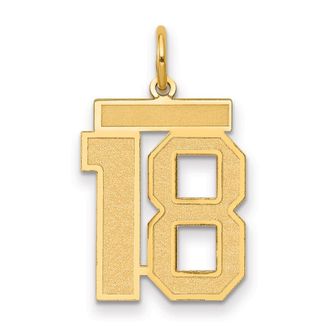 Diamond2Deal 14k Yellow Gold Medium Satin Number Charm Pendant