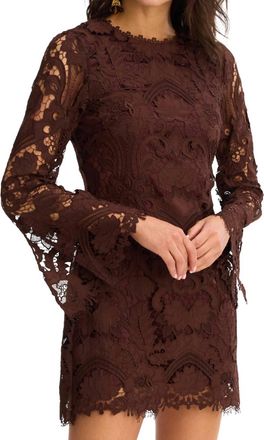 Allison New York Daisey Dress In Chocolate Brown