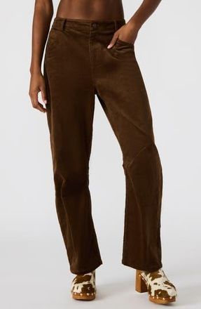 Steve Madden Hart Straight Leg Corduroy Pants in Demitasse at Nordstrom Rack, Size Xx-Large