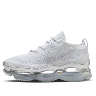 Nike (WMNS) Nike Air Max Scorpion Pure Platinum Metallic Silver DJ4702-003