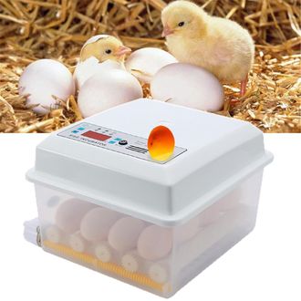 OEM Incubadora De Huevos De 16 Unidades Con Volteador Autom&aacute;tico De Huevos Y Control Digital De Temperatura (220v/12v)