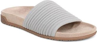 Vionic Evie Slide Sandal in Vapor Grey/silver at Nordstrom, Size 9.5