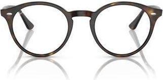 Ray-Ban Phantos 51mm Polarized Gradient Transition Round Sunglasses in Lite Havana at Nordstrom Rack