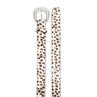 DanCassab Sander Belt - White