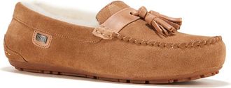 Australia Luxe Hamilton Genuine Shearling Lined Tassel Loafer in Chestnut at Nordstrom Rack, Size 12