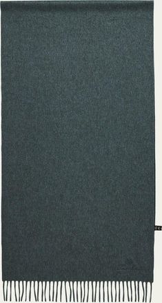 Loro Piana Mens Grande Unita Cashmere Scarf