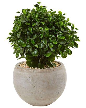 Nearly Natural 2Ft Eucalyptus Silk Plant In Sand Colored Bowl: Uv-Resistant (Indoor/Outdoor)
