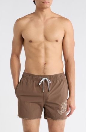 Vintage Summer Swimwear Embroidered Shortie Volley Swim Trunks in Coffee at Nordstrom Rack, Size Xx-Large