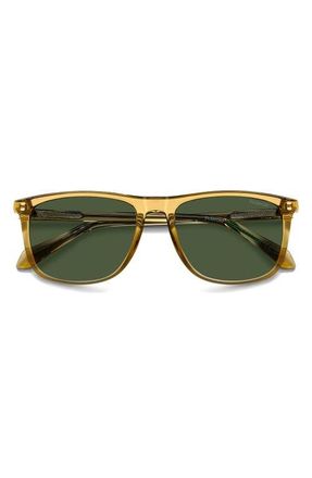 Polaroid 55mm Polarized Rectangular Sunglasses in Beige/Green Pz at Nordstrom