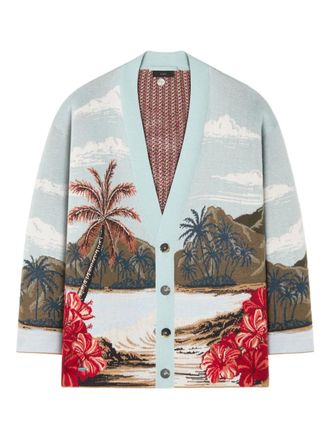 Alanui Hidden Bay tropical-print cardigan - men - Wool/Cotton/Silk/Cashmere - L - Blue