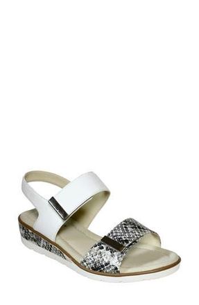 David Tate Civic Slingback Sandal in White Multi at Nordstrom Rack, Size 10