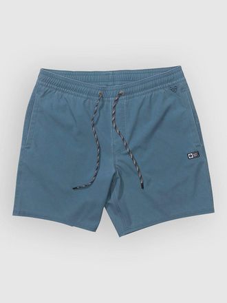 Salty Crew Seadog Volley Boardshorts zwart