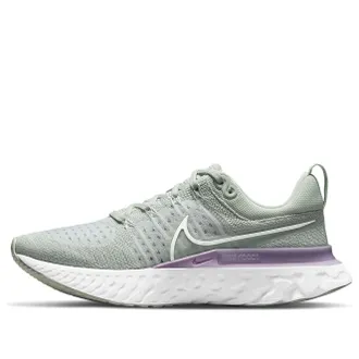 Nike (WMNS) Nike React Infinity Run Flyknit 2 Light Silver Lilac CT2423-005