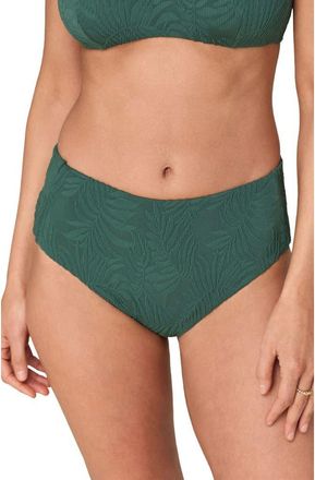 Andie Swim The High Rise Bikini Bottoms in Pine at Nordstrom, Size X-Large