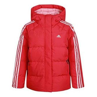 adidas (WMNS) adidas Puff Hooded Windproof Down Jacket Pink GF0003