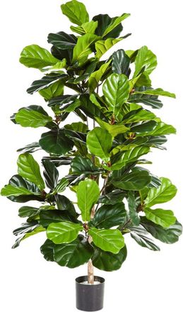 Baq Lebensechte Kunstpflanze Ficus Lyrata, ø 65/ Höhe 130 cm